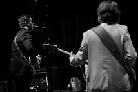 08_electric_elephant-8564.jpg